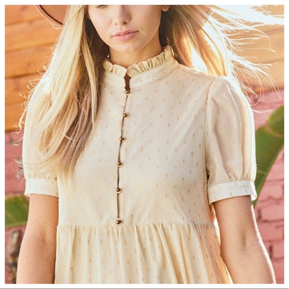 Fabulous Lurex Jacquard Swiss Dot Dress - Picture 3 of 7